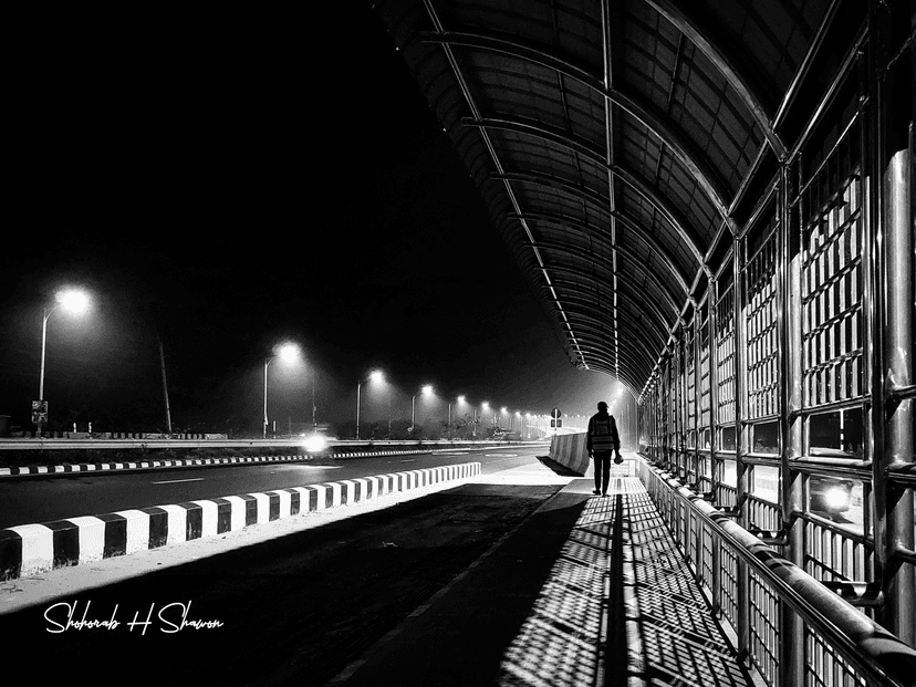 Nocturne on a Shadowed Walk