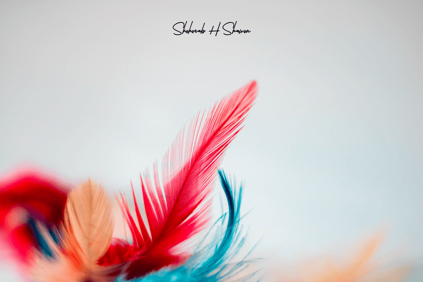 Chromatic Whispers, Light as Air