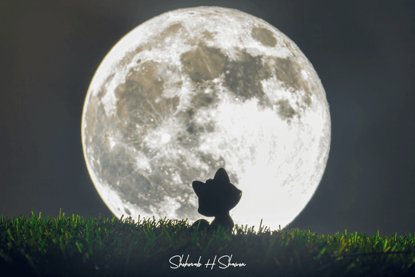 Cat Silhouette Against the Full Moon